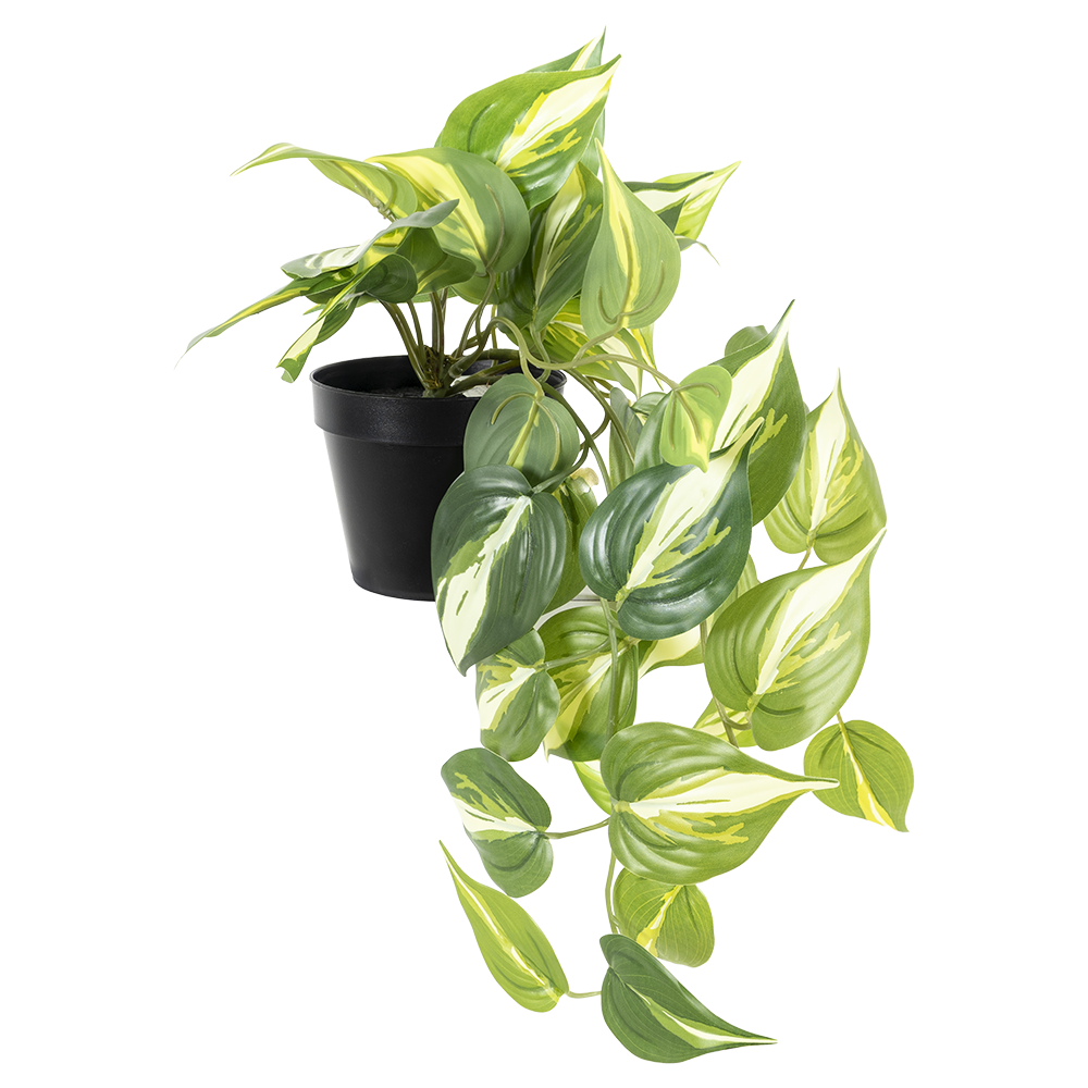 poto planta Planta Artificial Poto