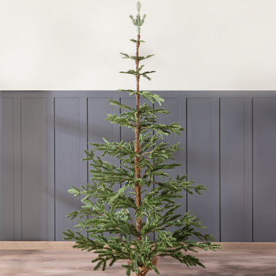 Pino Navideño Jasper