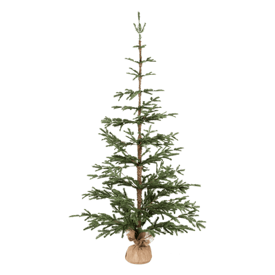 Pino Navideño Jasper