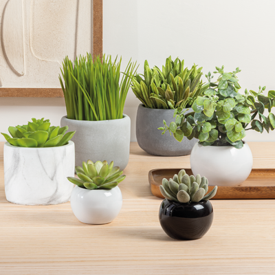 Planta artificial Sanse