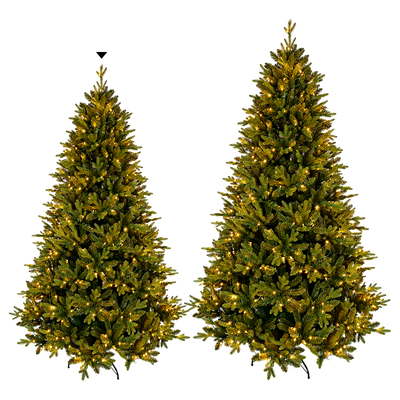 Árbol Sitka con luces