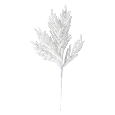 Rama Aura
