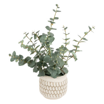 Florero Vallon