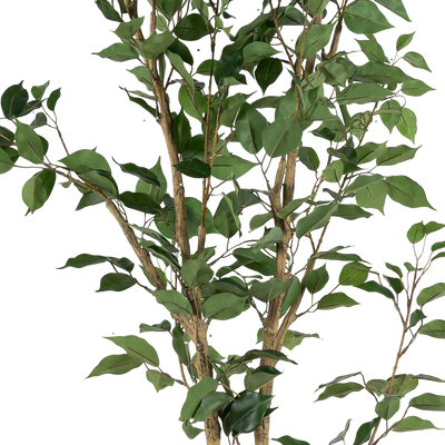 Planta Artificial Ficus