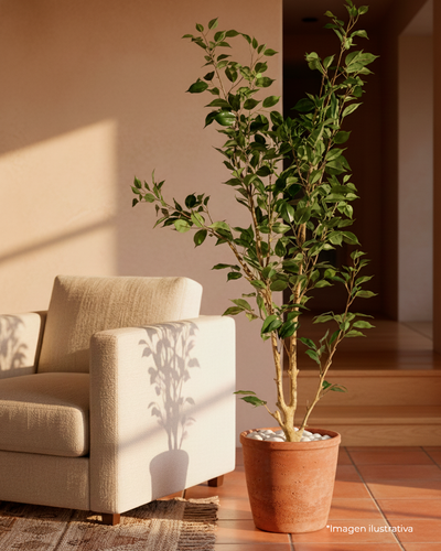 Planta Artificial Ficus