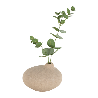 Florero Maca