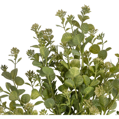 Rama Artificial Claspin