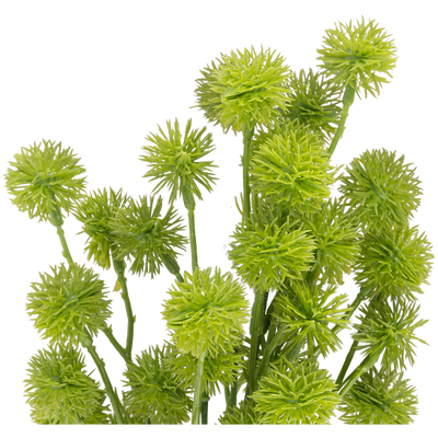 Rama Artificial Calatea