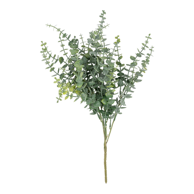 Rama Artificial Riscus