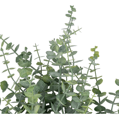 Rama Artificial Riscus