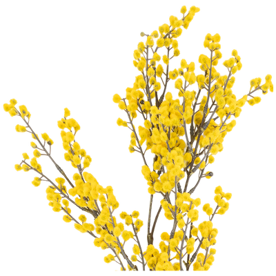 Rama Artificial Azarazo