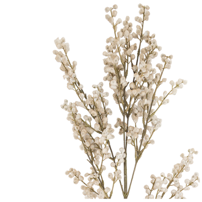 Rama Artificial Azotea