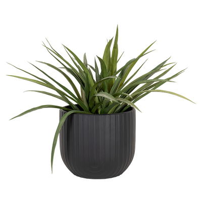 Maceta mediana Lucea