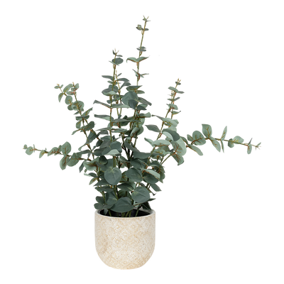 Maceta mediana Albani