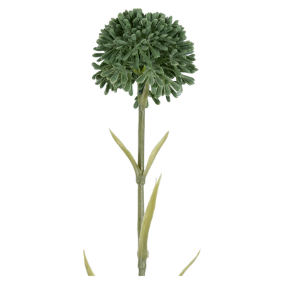 Rama Artificial Naroi