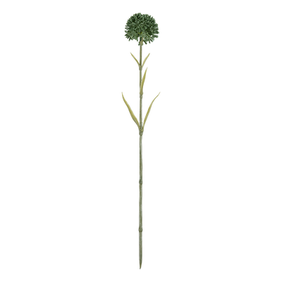Rama Artificial Naroi
