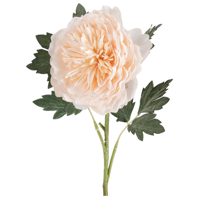 Rama Artificial Peonia