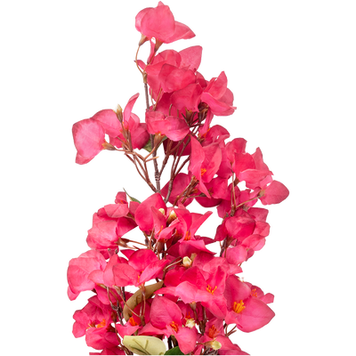 Rama Artificial Bugambilia
