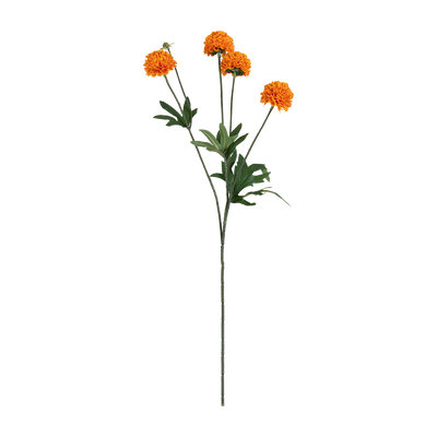 Rama Artificial Craspedia