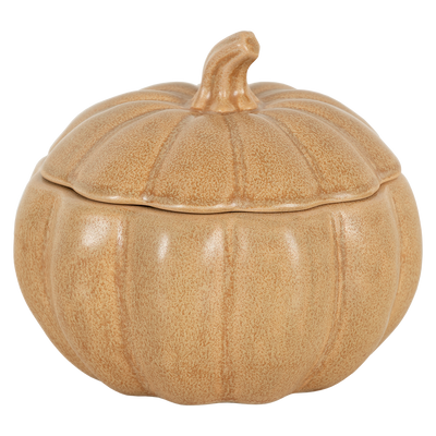 Contenedor Terra