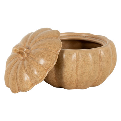Contenedor Terra
