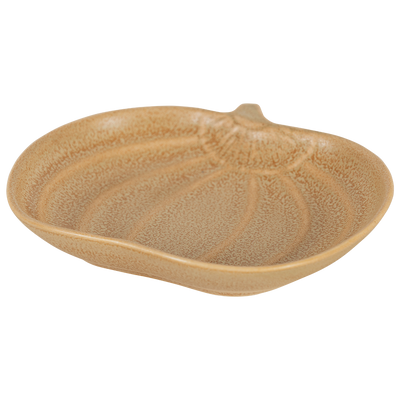 Plato Terra