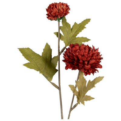 Rama Artificial Rohel