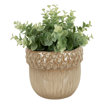 Florero Bellota