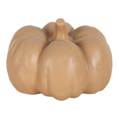 Calabaza decorativa Ocre