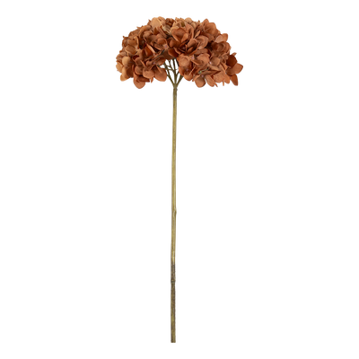 Rama Artificial Ela