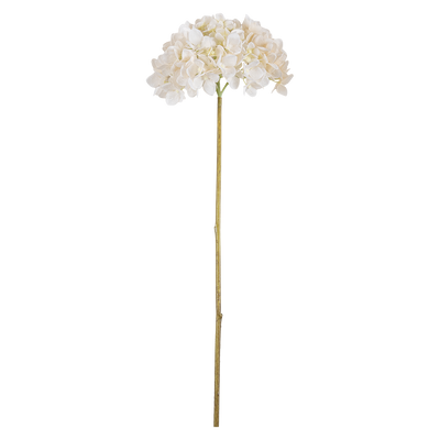 Rama Artificial Laren