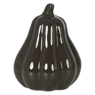 Calabaza decorativa Trufa