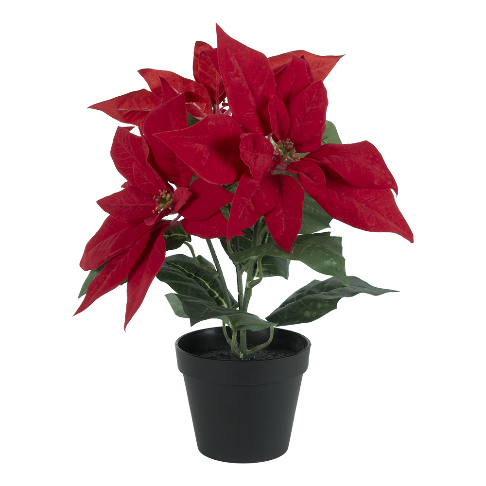 Planta Artificial Noche Buena