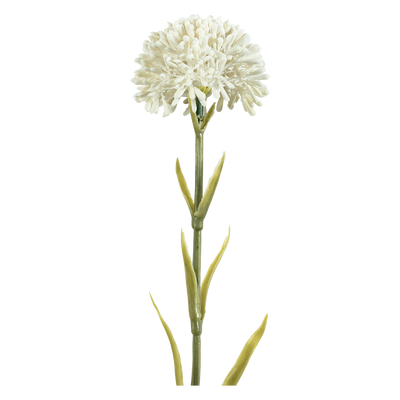 Rama Artificial Naroi