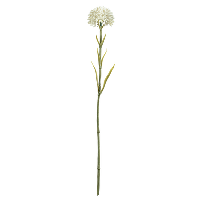 Rama Artificial Naroi