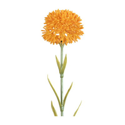 Rama Artificial Naroi