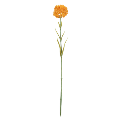 Rama Artificial Naroi