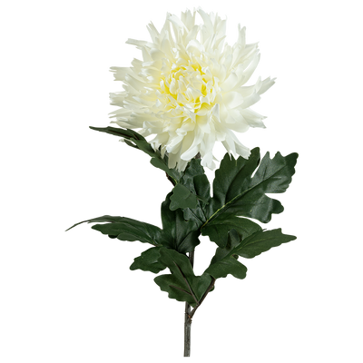 Rama Artificial Sauda
