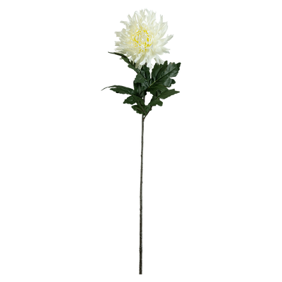 Rama Artificial Sauda
