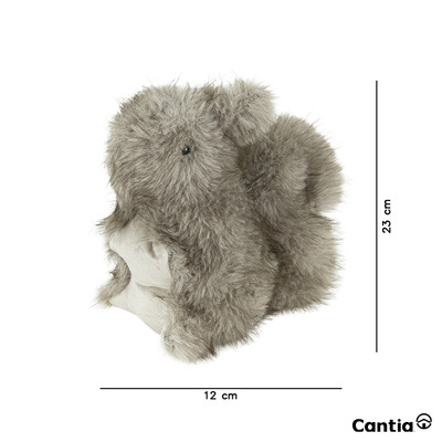 Peluche Ardilla