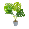 Planta Artificial Ceriman - Cantia