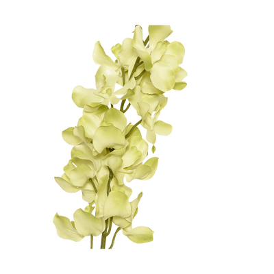 Flor artificial Orquidea