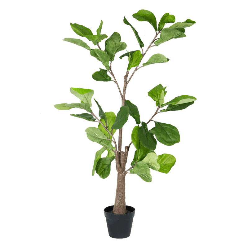 Planta artificial Cyrata