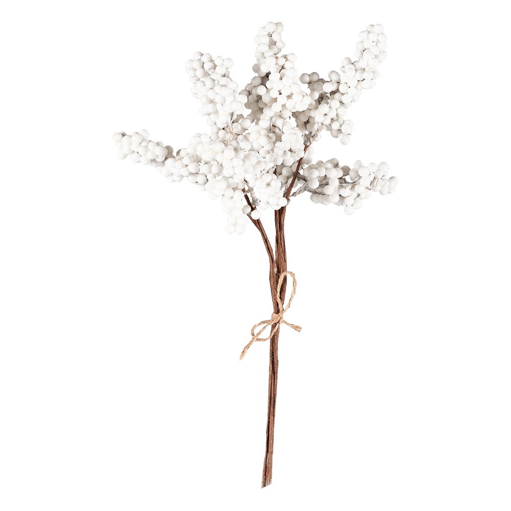 Rama decorativa Nieve