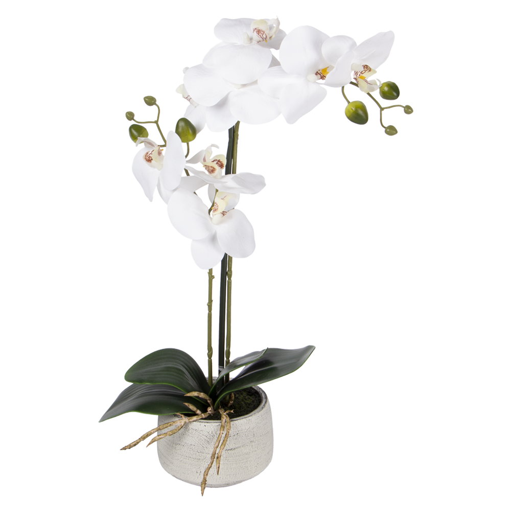 Rama de Orquídeas artificiales - Cantia
