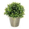 Mini planta artificial Follaje - Cantia